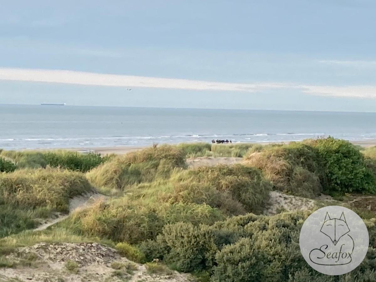 Appartement Seafox De Haan Eksteriør billede